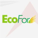 logo_ecofor-1